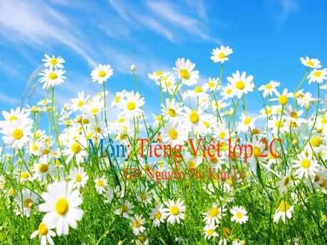 Bài giảng Tiếng Việt 2 (Kết nối tri thức) - Bài: Những cách chào độc đáo - Năm học 2023-2024 - Nguyễn Thị Kim Lý