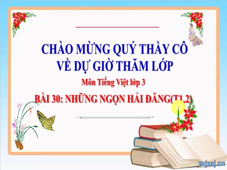 Bài giảng Tiếng Việt 3 (Kết nối tri thức) - Bài 30: Những ngọn Hải Đăng (Tiết 1+2) - Năm học 2022-2023 - Nguyễn Thị Hậu